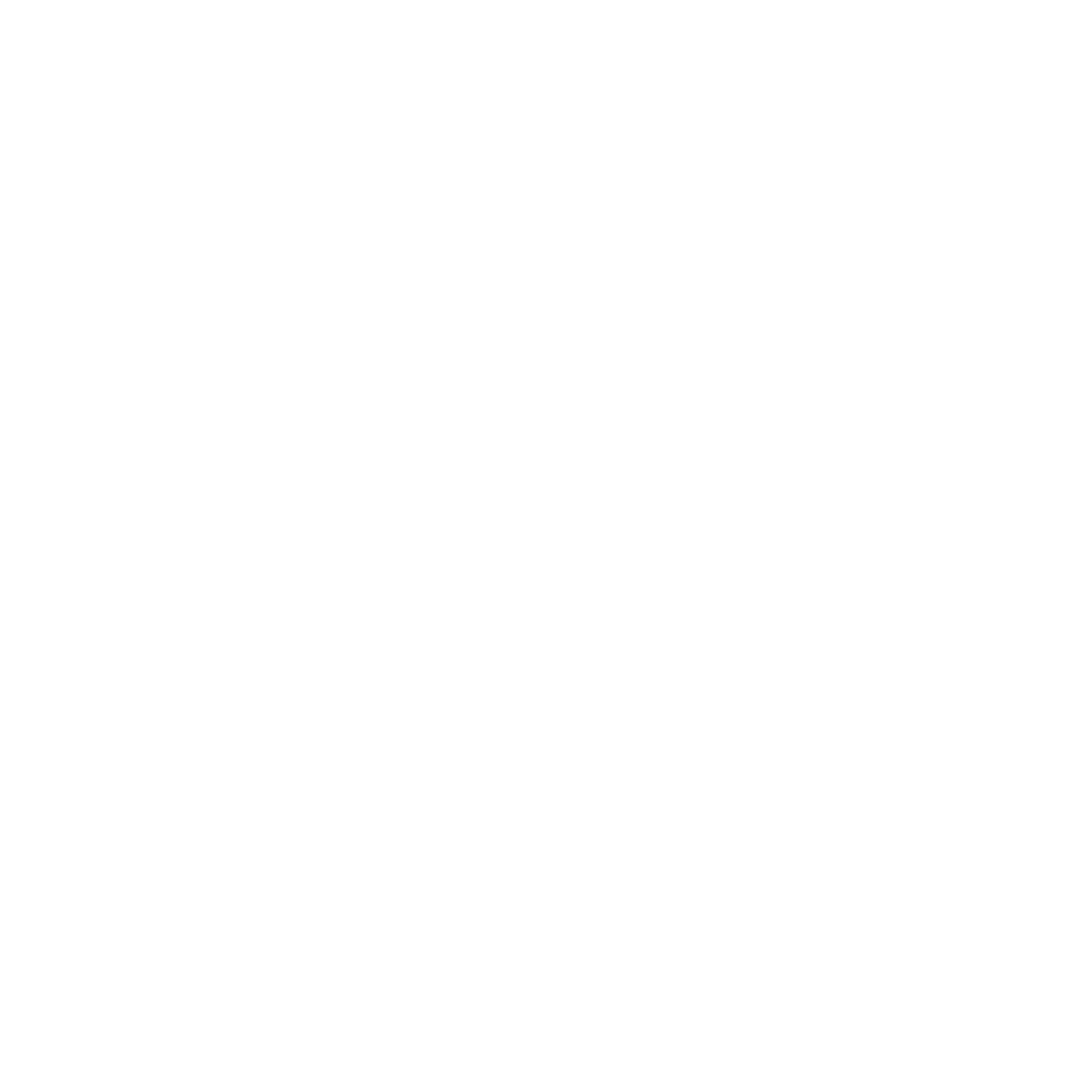 Biela Auto Spa logo